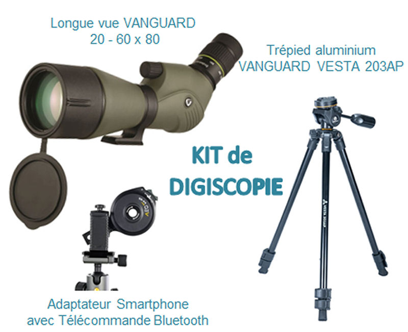 KIT Digiscopie avec longue vue 20-60x80 ENDEAVOR XF 80A et trépied VESTA 203AP et adaptateur smartphone VANGUARD