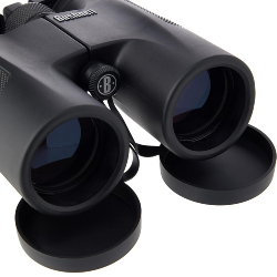 Jumelles 10x42 BUSHNELL POWERVIEW V1